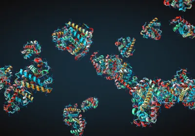 Colorful protein chains